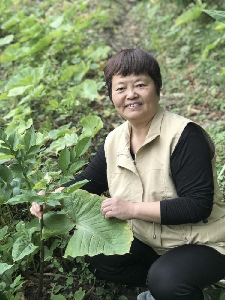 师者风华|获2022年度学科竞赛指导奖教师特辑(五) 师者风华|获2022年度学科竞赛指导奖教师特辑(五)