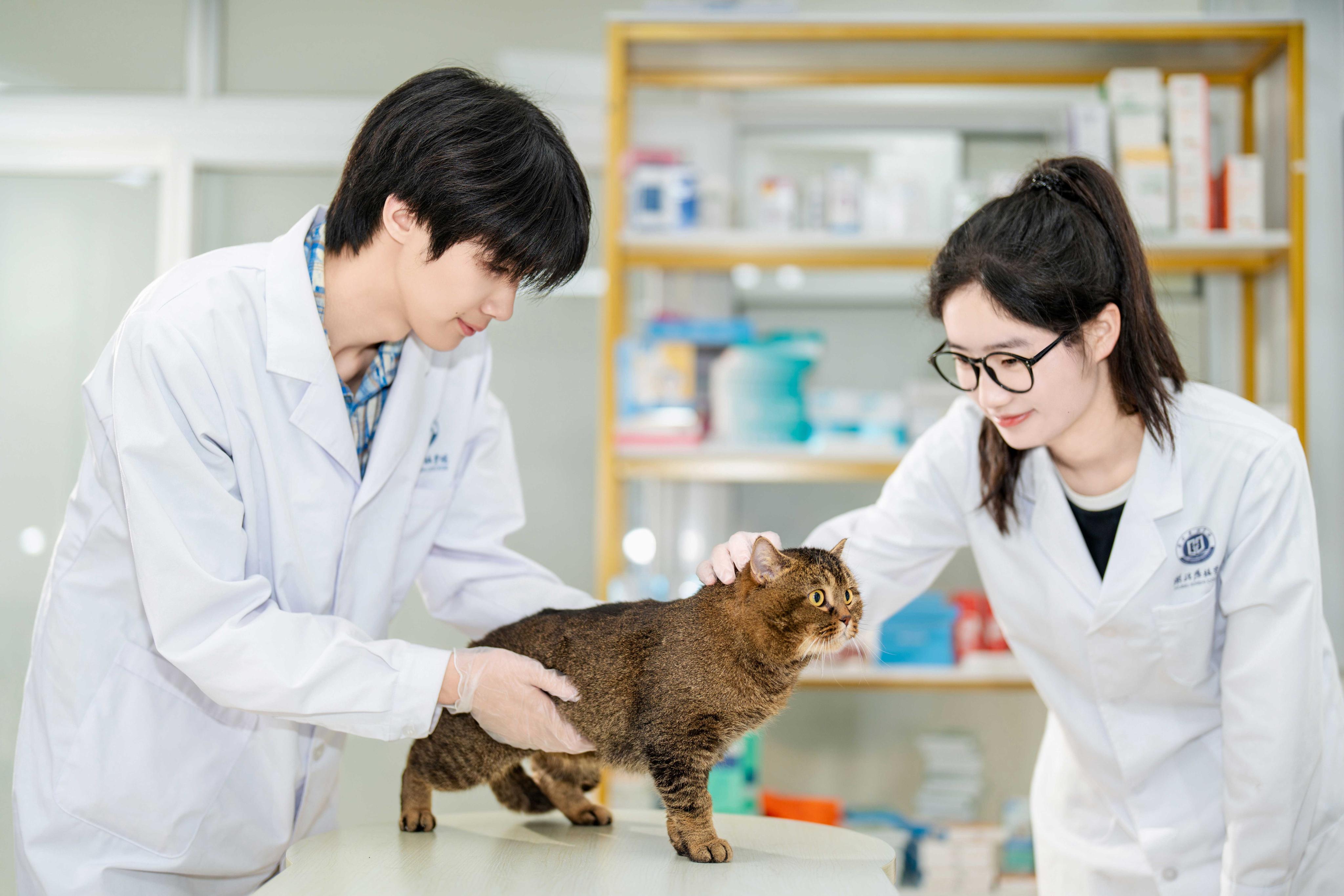 瑞派宠物医疗产业学院