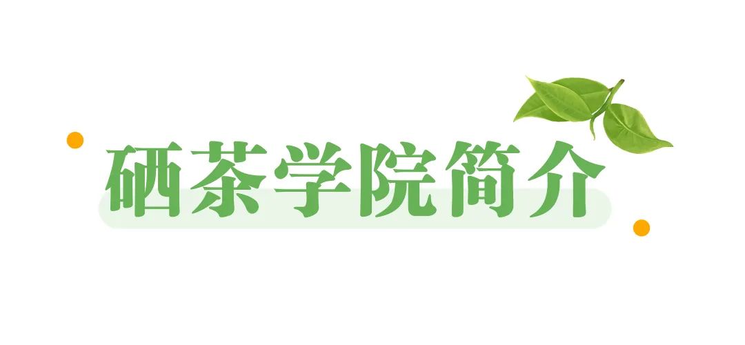 获奖!弘扬硒茶文化,我们是认真的! 获奖!弘扬硒茶文化,我们是认真的!