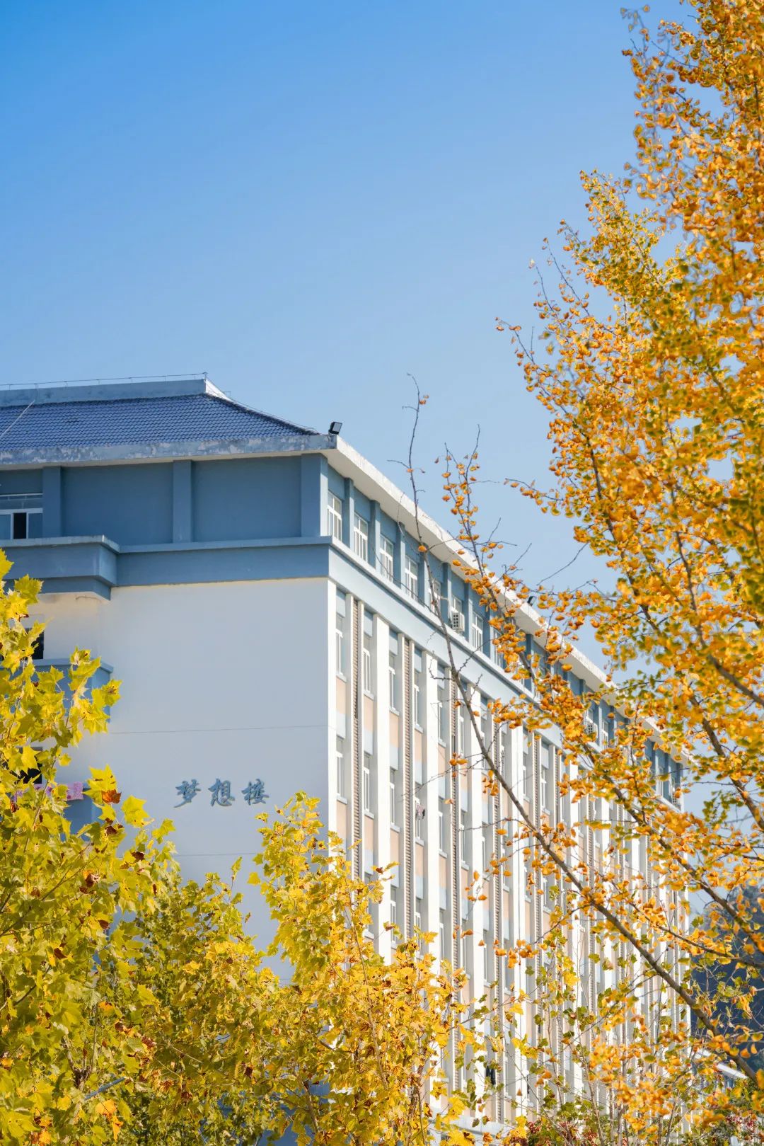 周末你好|全新恩施学院秋日壁纸,无瑕!免费出! 周末你好|全新恩施学院秋日壁纸,无瑕!免费出!