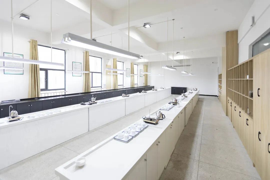 硒茶学院院长何洁在全省两会上建议:打造工匠学院,推广硒茶文化! 硒茶学院院长何洁在全省两会上建议:打造工匠学院,推广硒茶文化!