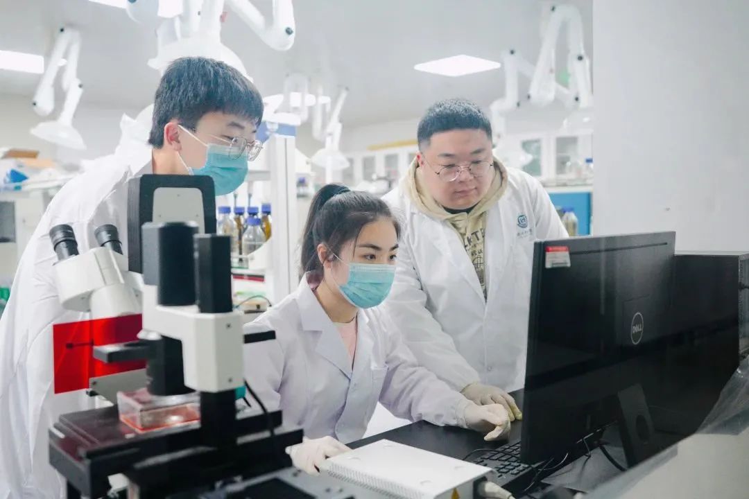 捷报频传,点赞! 捷报频传,点赞!