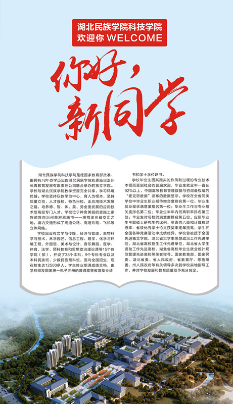 你好，新同学
